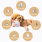 🎅 Soldes de Noël 50 % DE RÉDUCTION 😍 Peluches Vivid Pet