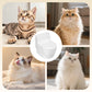 Gamelle murale pour chat en forme de toilette