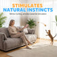 Lanceur et distributeur interactif de friandises pour animaux de compagnie